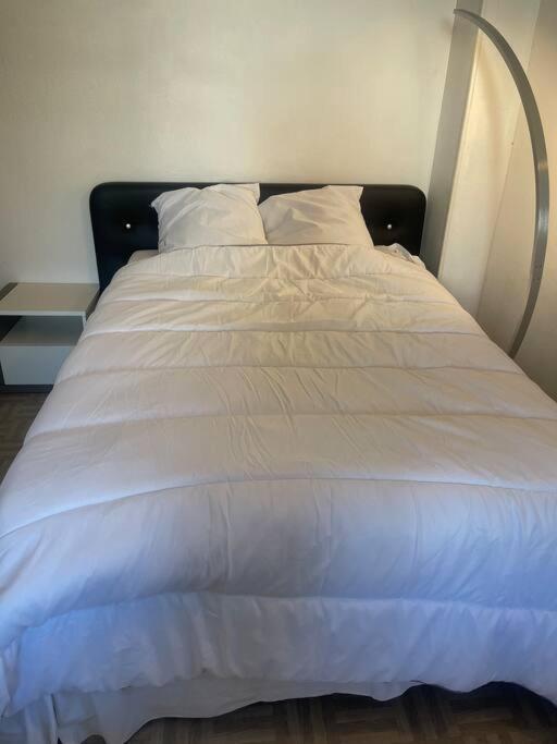 Appartement Croix Rousse 69004 Lyon Eksteriør bilde